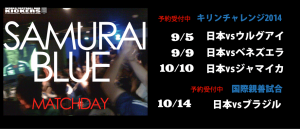 topバナー代表2014