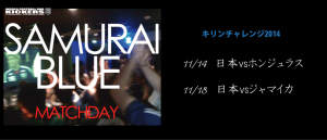 topsamuraiblue2014